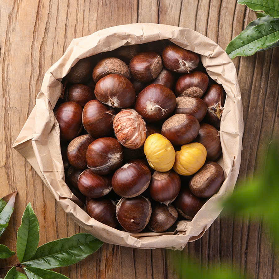 HẠT DẺ TƯƠI LOẠI TO VIP NGUYÊN HẠT - 2KG